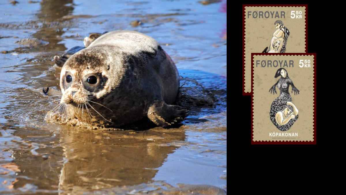 selkie mityczna postać